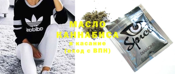 индика Нязепетровск