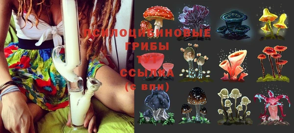 Альфа ПВП Алексеевка