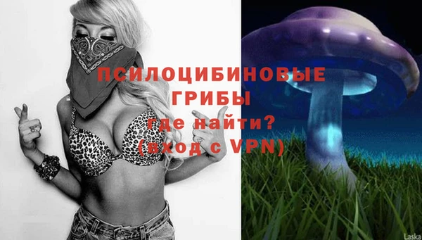 ALPHA-PVP Армянск