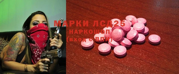 ПСИЛОЦИБИНОВЫЕ ГРИБЫ Арсеньев