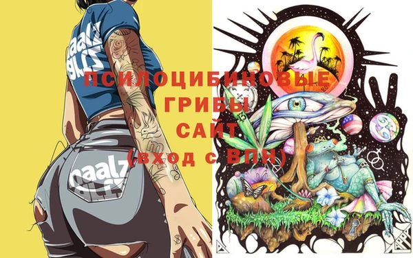мет Аркадак