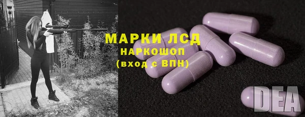 ПСИЛОЦИБИНОВЫЕ ГРИБЫ Арсеньев